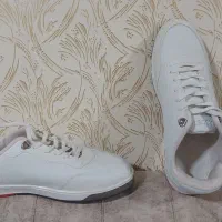 کتونی مردانه مارک لاکوست،کاملانو،کارنکردس|کیف، کفش، کمربند|رشت, جماران|دیوار