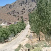 42 قصب زمین مسکونی سربیژن