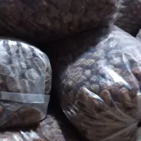 خرما|خوردنی و آشامیدنی|بهبهان, |دیوار