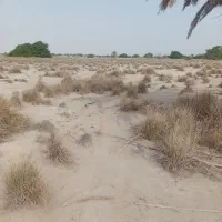 فروش زمین|فروش دفتر صنعتی، کشاورزی، تجاری|تخت, |دیوار