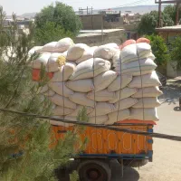 کاه گندم
