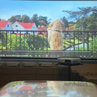پروژکتورEpson982W فول‌اچ‌دی بسیار تمیز و کم‌کارکر
