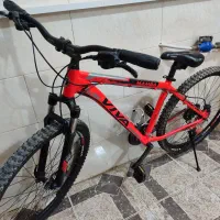 دوچرخه ویوا 29 اصل