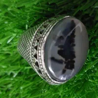 شجر تک درخت قائن