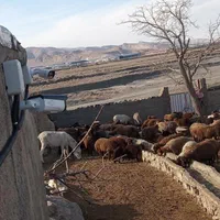 سیستم های امنیتی دوربین مداربسته   دزدگیر|دوربین مداربسته|چناران, |دیوار