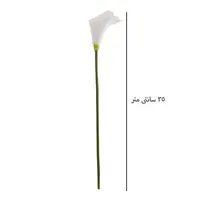 گل شیپوری دسته ۱۰ عددی|گل مصنوعی|نجف‌آباد, نجف‌آباد|دیوار