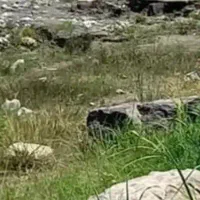 ۲۰۰ متر زمین در بلوار کشاورز فقط ۴۵۰ تومن