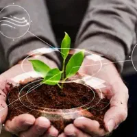 بازاریابی