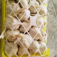 سیر تند همدان|خوردنی و آشامیدنی|شیراز, تحویلی|دیوار