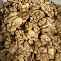 مغز گردو تازه لرستان درجه یک و فسنجونی