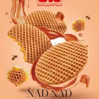 استخدام ویزیتور شرکت نادی