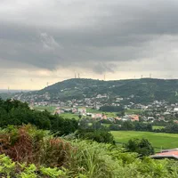 زمین ویودار،280 متر،مناسب کلبه چوبی