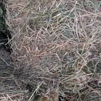 یونجه پرس انباری چین ۳