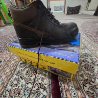 سایز ۴۳|کیف، کفش، کمربند|شبانکاره, |دیوار