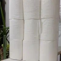 دستمال کاغذی|مواد شوینده و دستمال کاغذی|بوشهر, |دیوار