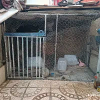 قفس پرنده مرتب طول ۲مترعرض ۱/۳۰