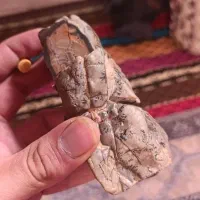 شجر|کلکسیون اشیاء عتیقه|زنجان, |دیوار