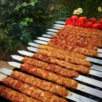 فروش خمیر کوبیده(مرغ و گوشت)