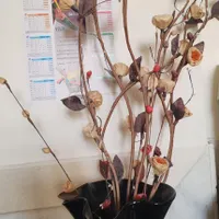 گل و گلدان
