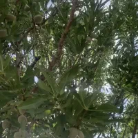 آب-و-زمین-احمدآبادچهل-گزی-بعداز-تنگ-چنار
