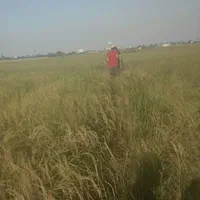 نقشه برداری تفکیک یو تی ام(UTM)زمین جهت سند تکبرگ|خدمات پیشه و مهارت|بابلسر, |دیوار