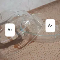 هرچی بخوای ۱۰۰|حراج|پرند, فاز ۲|دیوار