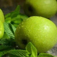 توزیع و ارائه نهال سیب سبز