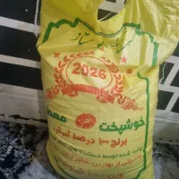 تمام دانه ونیم دانه محلی شوشتر