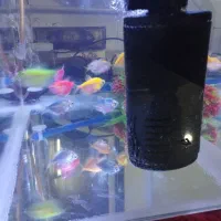 آکواریوم|ماهی|قم, یزدان‌شهر|دیوار