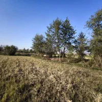 زمین۱۵۰۰متری در شهرستان فومن روستای نوگوراب|فروش زمین و ملک کلنگی|فومن, |دیوار