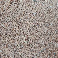 خرید و فروش|عمده‌فروشی|ابهر, |دیوار