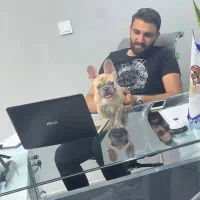 اموزش سگ/مربی سگ/تربیت سگ|خدمات آموزشی|تهران, میرداماد|دیوار