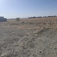 زمین باغی ویلایی