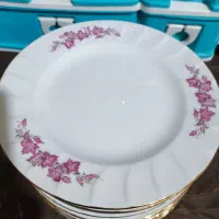 ظروف چینی
