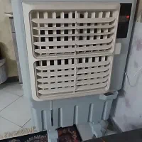 کولرکنار سالنی سالم