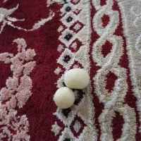 گوهر شب چراغ|چراغ خواب و آباژور|گرگان, |دیوار