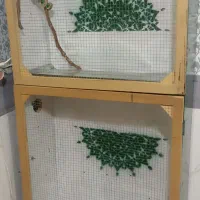 قفس