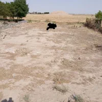 زمین-14-متربهر-300مترجاده-شهرک-مدرس-باغخواص-ویلایی