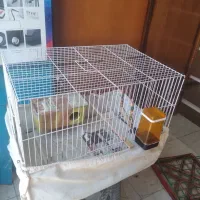 قفس پرنده