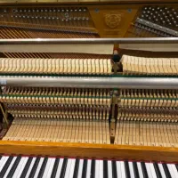 پیانو سمیک مدل js600|پیانو، کیبورد، آکاردئون|تهران, تهرانپارس غربی|دیوار