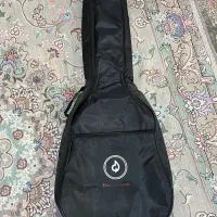 کیف گیتار