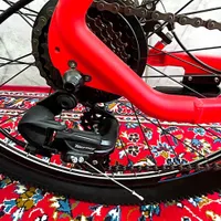 دوچرخه فلش Race D15|دوچرخه، اسکیت، اسکوتر|جهرم, |دیوار