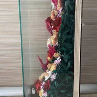 گل شیشه ایی