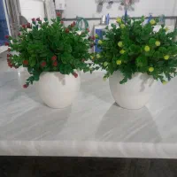 گل وگلدان