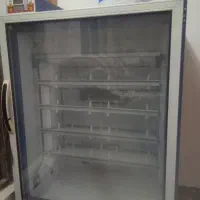 دستگاه جوجه کشی