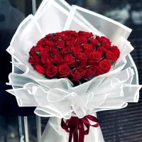 گل رز هلندی  باکس گل  سبد گل دسته گل|گل و گیاه طبیعی|تهران, والفجر (افسریه)|دیوار