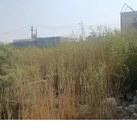 زمین-300-متری-شهرک-شهید-رجایی