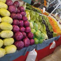 شاگرد میوه فروشی