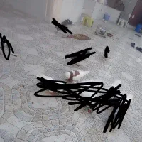 کبوتر ها
