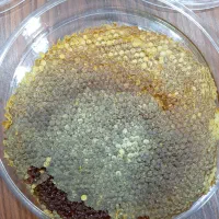 عسل طبیعی باضمانت